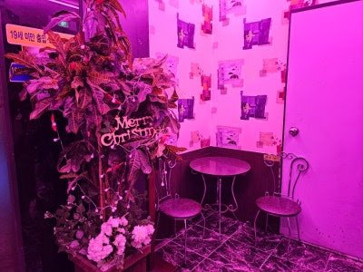 여럿이 함께 춤을 추는 분위기